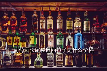 葡萄酒長尾袋鼠西拉子是什么價格