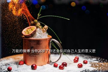 萬(wàn)能的微博 當(dāng)你26歲了你還會(huì)反問(wèn)自己人生的意義麼