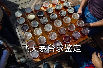 飛天茅臺(tái)求鑒定