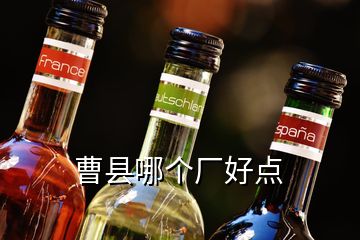 曹縣哪個(gè)廠好點(diǎn)