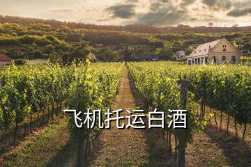 飛機托運白酒