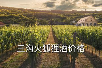 三溝火狐貍酒價(jià)格