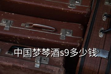 中國夢棽酒s9多少錢