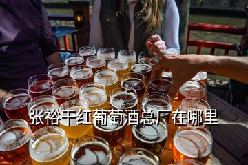 張?jiān)8杉t葡萄酒總廠在哪里