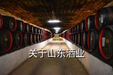 關(guān)于山東酒業(yè)