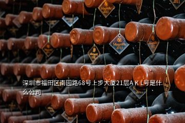 深圳市福田區(qū)南園路68號上步大廈21層A K L號是什么公司