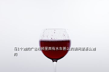 有1個酒的廣告視頻里面有水車甚么的請問是甚么酒的