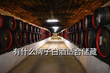有什么牌子白酒適合儲藏