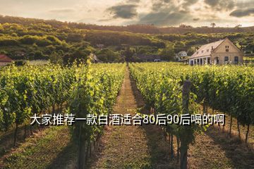 大家推薦一款白酒適合80后90后喝的啊