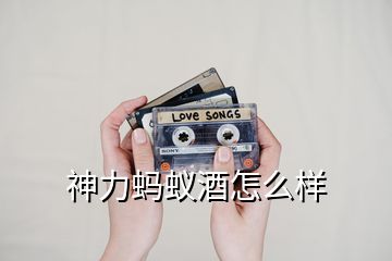 神力螞蟻酒怎么樣