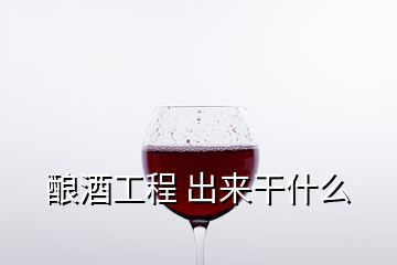 釀酒工程 出來干什么