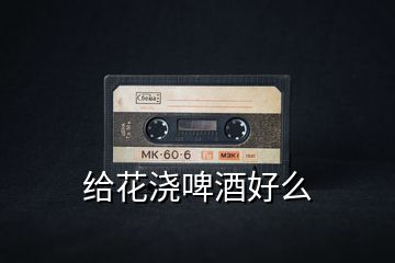 給花澆啤酒好么