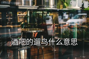 酒吧的遛鳥什么意思