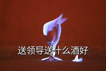 送領(lǐng)導(dǎo)送什么酒好