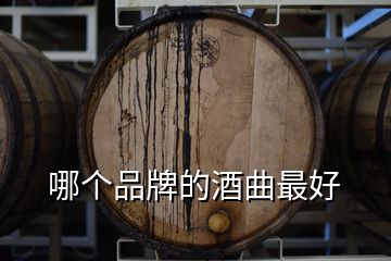 哪個(gè)品牌的酒曲最好