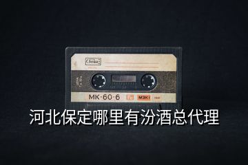 河北保定哪里有汾酒總代理