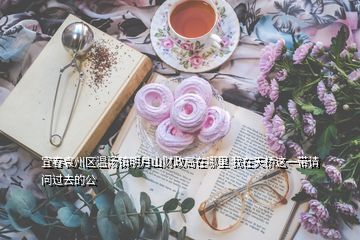宜春袁州區(qū)溫湯鎮(zhèn)明月山財政局在哪里 我在天橋這一帶請問過去的公