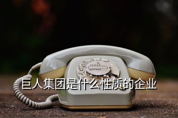 巨人集團是什么性質(zhì)的企業(yè)