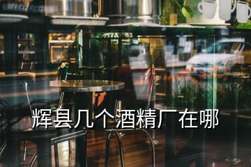 輝縣幾個酒精廠在哪