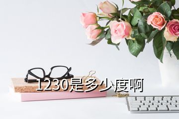 1230是多少度啊