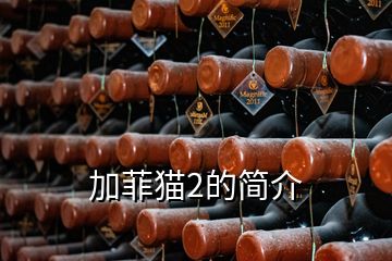 加菲貓2的簡介