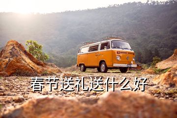 春節(jié)送禮送什么好