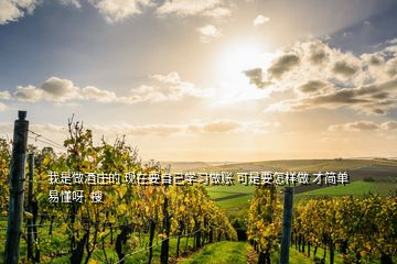 我是做酒莊的 現(xiàn)在要自己學習做賬 可是要怎樣做 才簡單 易懂呀  搜