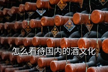 怎么看待國內(nèi)的酒文化