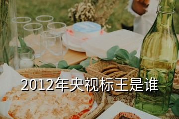 2012年央視標(biāo)王是誰(shuí)