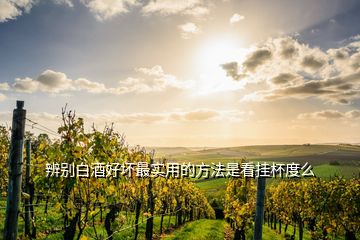 辨別白酒好壞最實用的方法是看掛杯度么