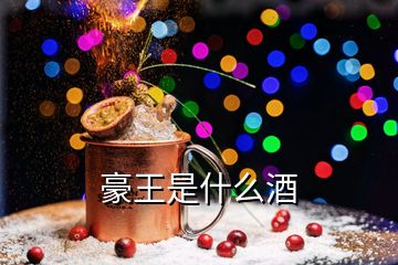 豪王是什么酒