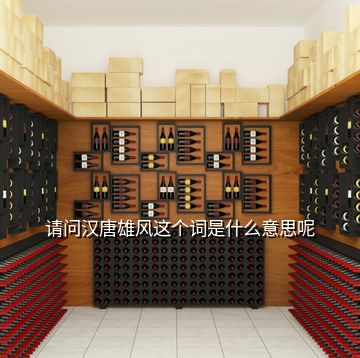 請問漢唐雄風這個詞是什么意思呢
