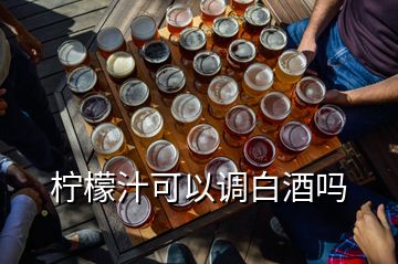 檸檬汁可以調(diào)白酒嗎