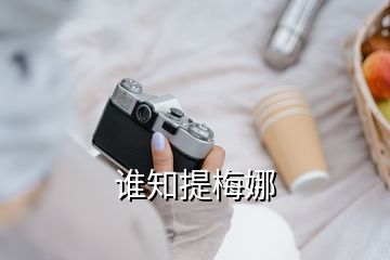 誰(shuí)知提梅娜