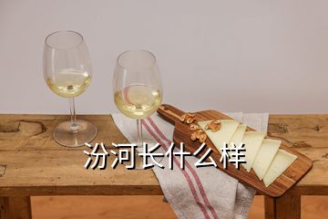 汾河長(zhǎng)什么樣