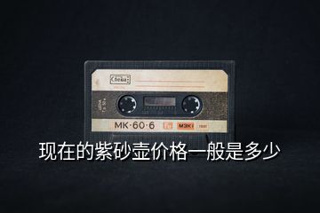 現(xiàn)在的紫砂壺價(jià)格一般是多少