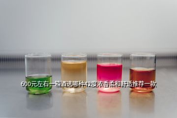600元左右一箱酒選哪種42度濃香柔和舒適推薦一款