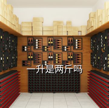一升是兩斤嗎