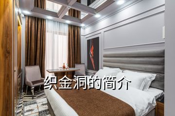 織金洞的簡介