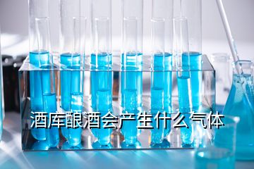 酒庫釀酒會產生什么氣體