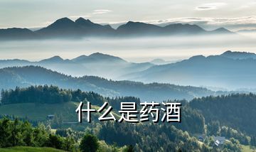 什么是藥酒