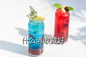 什么酒收藏好