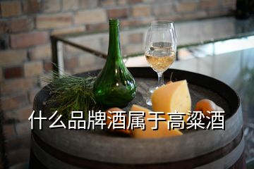 什么品牌酒屬于高粱酒