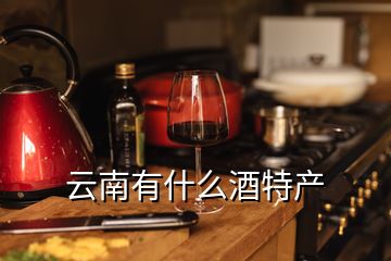 云南有什么酒特產