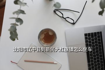 沈陽(yáng)市遼中縣到新民大紅旗鎮(zhèn)怎么坐車(chē)
