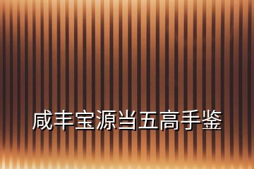 咸豐寶源當五高手鑒