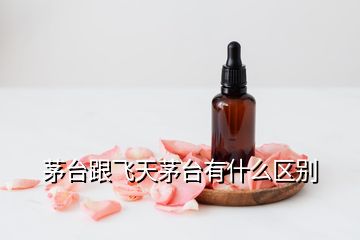 茅臺(tái)跟飛天茅臺(tái)有什么區(qū)別