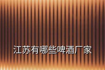 江蘇有哪些啤酒廠(chǎng)家