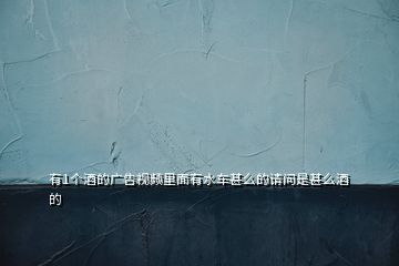 有1個(gè)酒的廣告視頻里面有水車甚么的請(qǐng)問是甚么酒的
