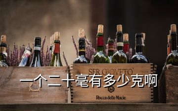 一個二十毫有多少克啊